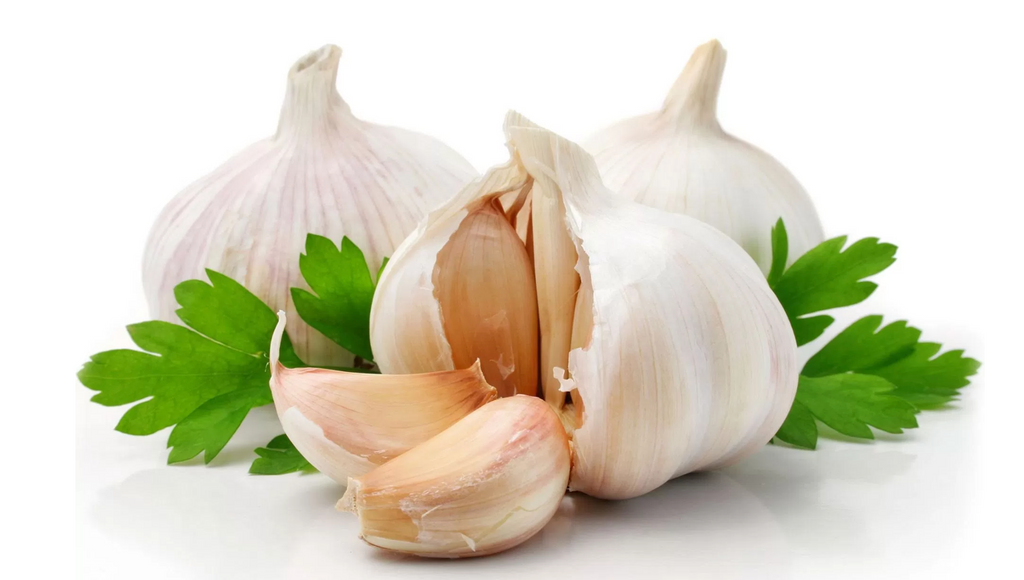 Fight the cold and flu season with Garlic (cooked in your bone broth)