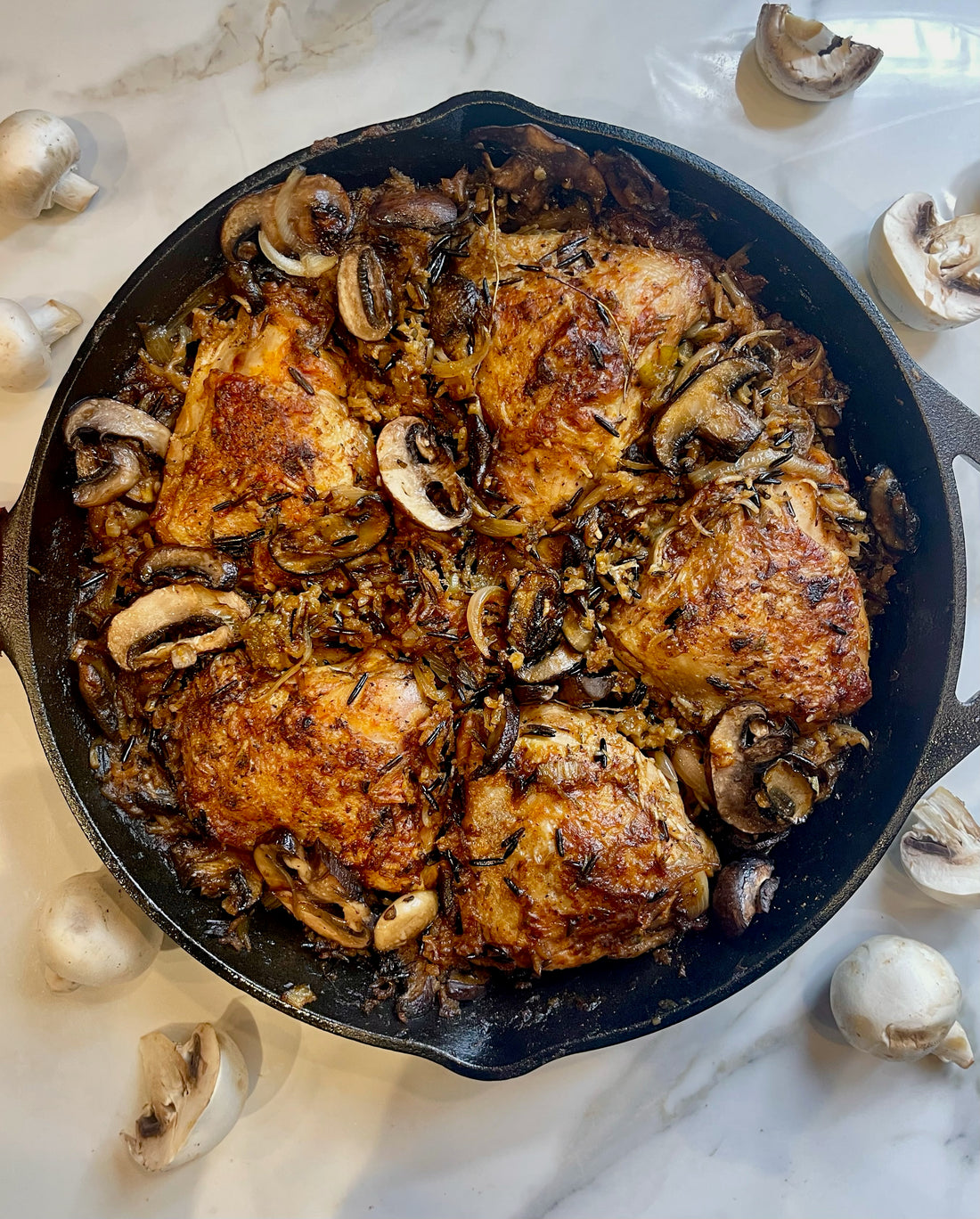 Pan Roasted Chicken With Mushroom, Wild Rice and Broth Master Bone Broth.